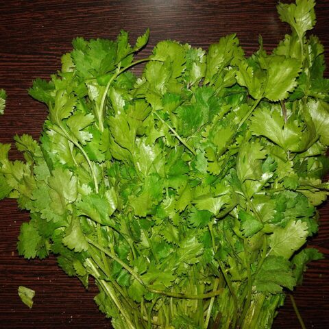 Fresh Farms Fresh Herbs Cilantro 2-Pack — front of pack