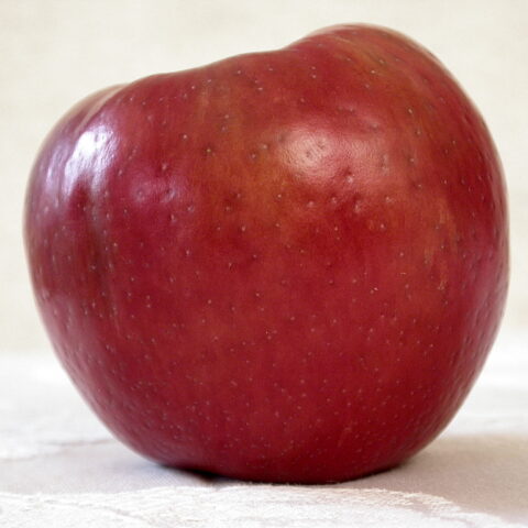 Fresh Farms Honeycrisp Apples Premium 5 lb Bag — front of pack