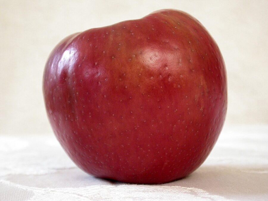 Fresh Farms Honeycrisp Apples Premium 5 lb Bag — Front view