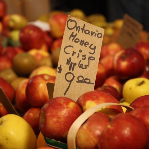 Fresh Farms Honeycrisp Apples Fresh 3 lb Bag — front of pack