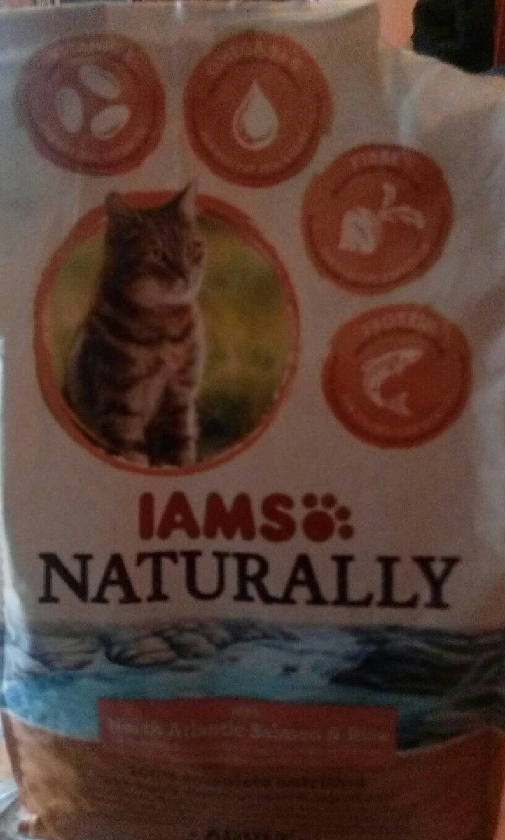 Iams Dry Cat Food Salmon 3.5 lb — Front view