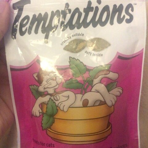 Temptations Cat Treats Seafood Medley 6.3 oz — front of pack