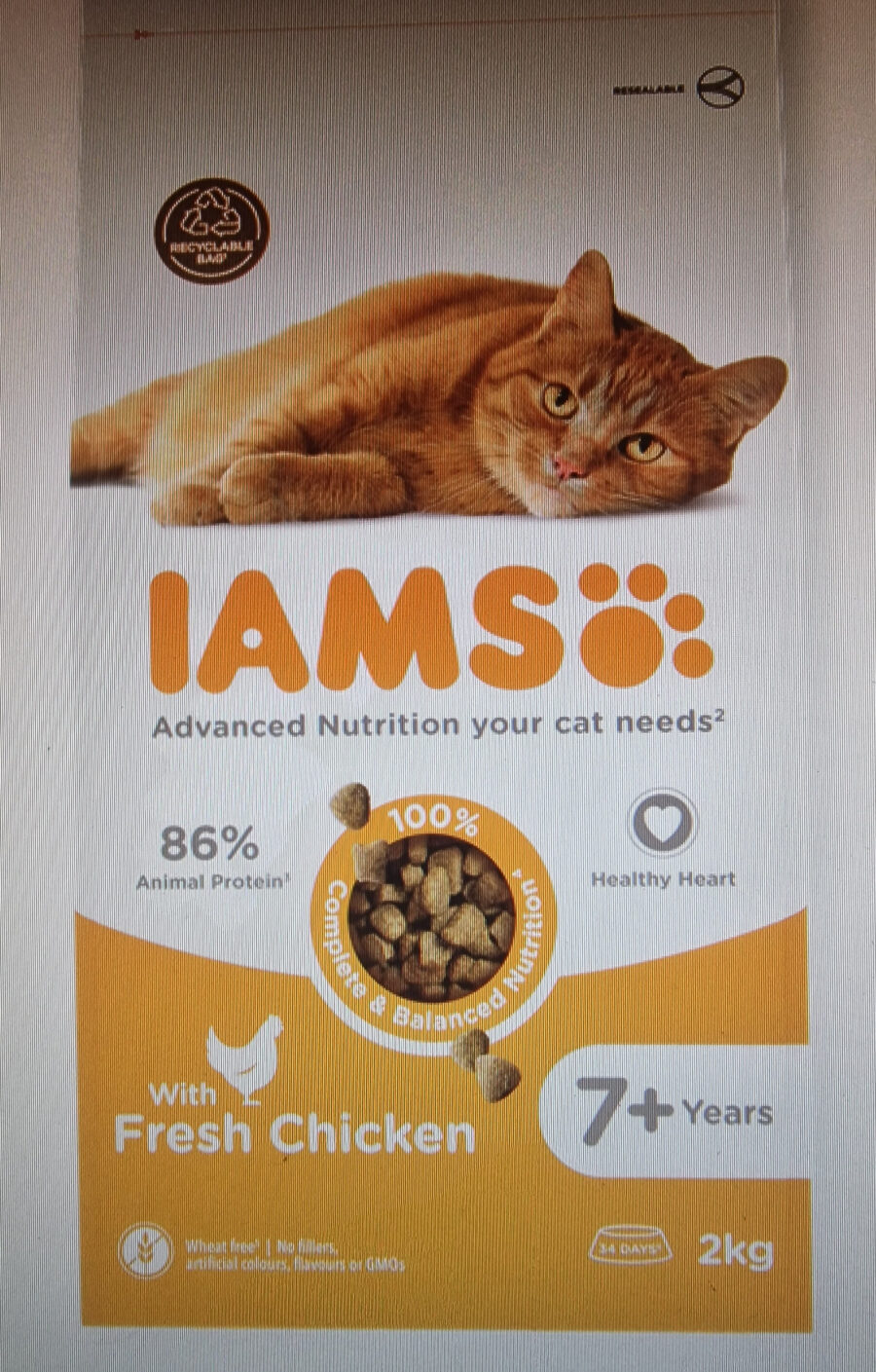 Iams Dry Cat Food Salmon 7 lb — Front view