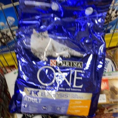 Purina Dry Dog Food Chicken & Rice 4 lb — front of pack