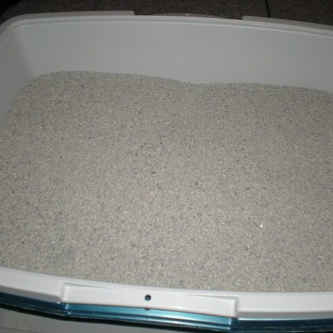 Fresh Step Cat Litter Simply Unscented 14 lb — front of pack