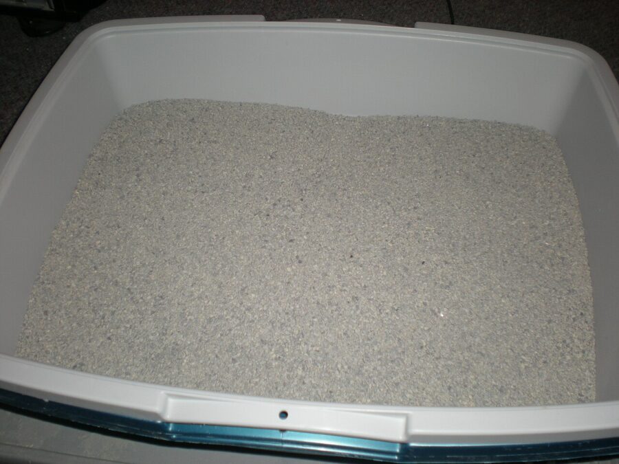 Fresh Step Cat Litter Simply Unscented 14 lb — Front view